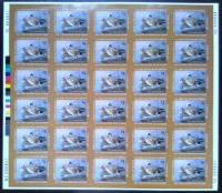 Scan of JDS15 2007 Junior Duck Stamp Full Sheet MNH VF