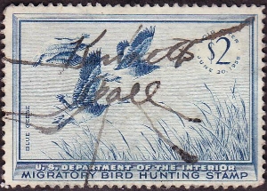 Scan of RW22 1955 Duck Stamp Used F-VF