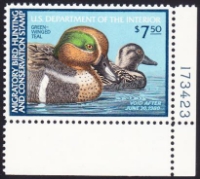 Scan of RW46 1979 Duck Stamp XF 90 MNH XF 90