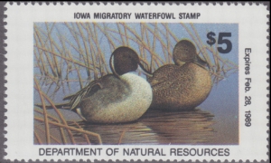 Scan of 1988 Iowa Duck Stamp MNH VF