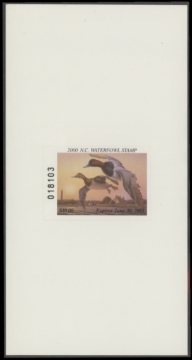 Picture of 2000 North Carolina Duck Stamp  MNH VF