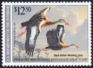 Scan of RW57 1990 Duck Stamp Grade 95 MNH XF - SUP