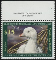 Scan of RW73 2006 Duck Stamp  MNH F-VF