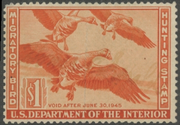 Picture of RW11 1944 Duck Stamp  Used Fine