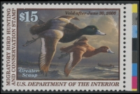 Scan of RW66 1999 Duck Stamp Grade 98 MNH Sup 98