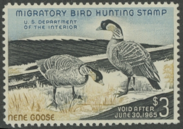 Picture of RW31 1964 Duck Stamp  MLH VF