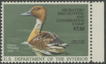 Picture of RW53 1986 Duck Stamp  MNH VF