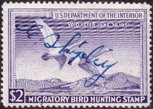 Scan of RW17 1950 Duck Stamp  Used F-VF