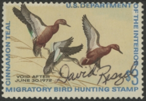 Scan of RW38 1971 Duck Stamp  Used VG