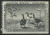 Scan of RW25 1958 Duck Stamp  Unsigned, NG Fine