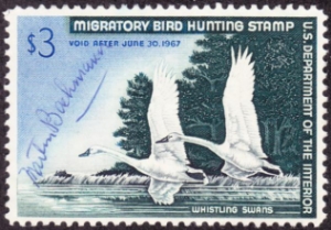 Scan of RW33 1966 Duck Stamp  Used F - VF