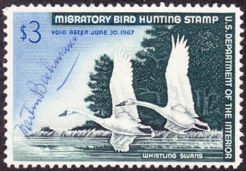 Picture of RW33 1966 Duck Stamp  Used F - VF