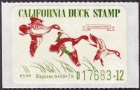 Scan of 1977 California Duck Stamp MNH VF