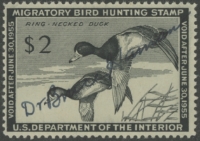 Scan of RW21 1954 Duck Stamp  Used Fine