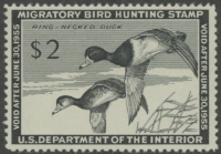 Scan of RW21 1954 Duck Stamp  MNH F-VF