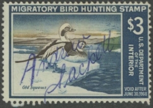 Scan of RW34 1967 Duck Stamp  Used Fine