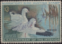 Scan of RW37 1970 Duck Stamp  Used Fine