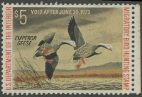 Scan of RW39 1972 Duck Stamp  Unsigned, NG VF