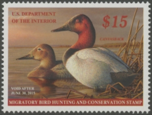 Scan of RW81 2014 Duck Stamp  MNH XF