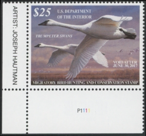 Scan of RW83 2016 Duck Stamp  MNH VF
