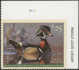 Scan of RW86 2019 Duck Stamp  MNH VF