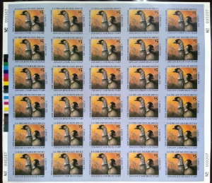 Scan of JDS16 2008 Junior Duck Stamp Full Sheet MNH VF