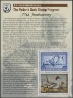 Scan of RW75SS 2008 Duck Stamp  MNH VF
