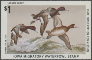 Scan of 1977 Iowa Duck Stamp MNH VF