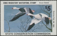 Scan of 1982 Iowa Duck Stamp MNH VF