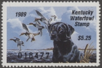Scan of 1989 Kentucky Duck Stamp MNH VF
