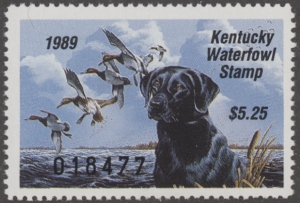 Scan of 1989 Kentucky Duck Stamp MNH VF