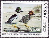 Scan of 1989 Maine Duck Stamp MNH VF