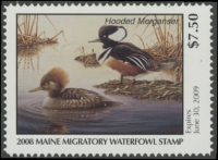 Scan of 2008 Maine Duck Stamp MNH VF