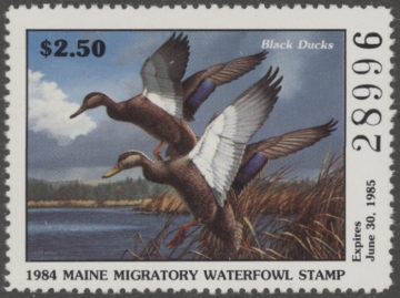 Picture of 1984 Maine Duck Stamp - First of State MNH VF