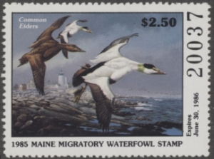 Scan of 1985 Maine Duck Stamp MNH VF