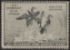 Scan of RW18 1951 Duck Stamp  Unsigned Fine