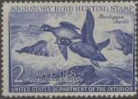 Scan of RW19 1952 Duck Stamp Faults  Unsigned Fine