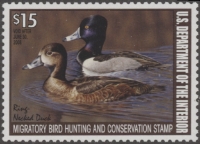 Scan of RW74 2007 Duck Stamp  MNH XF
