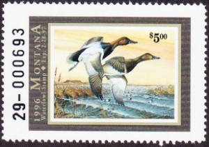 Scan of 1996 Montana Duck Stamp MNH VF