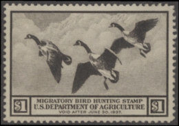 Scan of RW3 1936 Duck Stamp  Unsigned F-VF