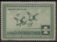 Scan of RW4 1937 Duck Stamp  Unsigned F-VF