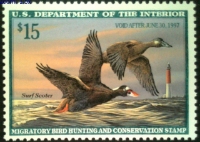 Scan of RW63 1996 Duck Stamp  MNH F-VF