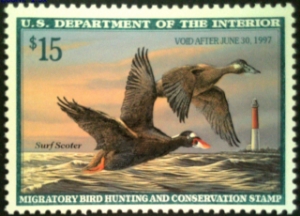 Scan of RW63 1996 Duck Stamp  MNH F-VF