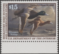 Scan of RW66 1999 Duck Stamp  MNH VF