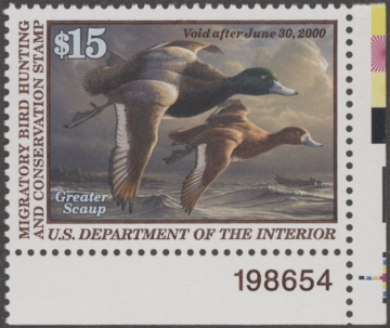 Picture of RW66 1999 Duck Stamp  MNH F-VF