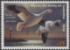 Picture of RW70 2003 Duck Stamp  MNH VF