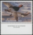 Picture of RW71 2004 Duck Stamp  MNH F-VF