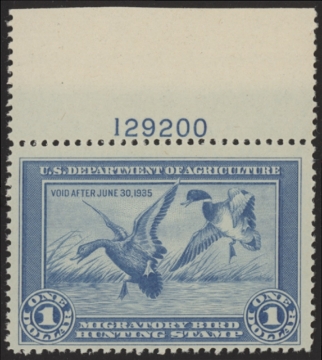 Picture of RW1 1934 Duck Stamp  MNH Fine
