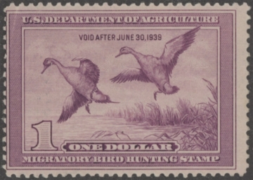 Picture of RW5 1938 Duck Stamp  Unsigned Fine