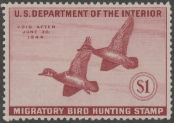 Picture of RW10 1943 Duck Stamp  Unsigned F-VF